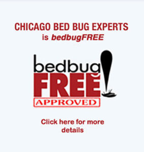 Chicago Bed Bug Exterminators | Local Chicago Bed Bug Experts